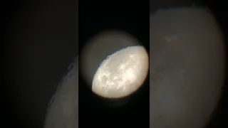 Луна через любительский телескоп. The moon through an amateur telescope.