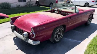 1955 Ford Thunderbird - Sitting for 48 years!