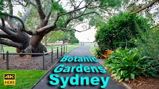 Sydney Australia Walking Tour - Largest Vertical Garden in the Southern Hemisphere | 4K HDR