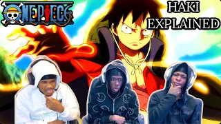 ONE PIECE HATERS REACT TO ONE PIECE - HAKI EXPLAINED