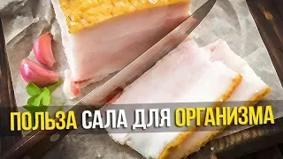 Вот что происходит с организмом, когда ты ешь сало!