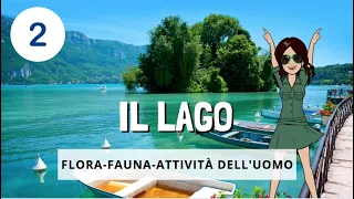 🌅 IL LAGO - episodio 2 - flora, fauna, attività dell'uomo