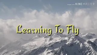 HTTYD Trilogy Learning to fly Happy Birthday to me