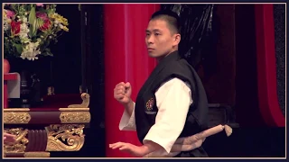 Demonstration techniques Shorinji Kempo. Кumi embu. Hombu. 少林寺拳法. 武道少林寺拳法