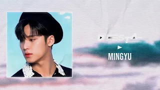 [D’FESTA] PHOTOBOOK PREVIEW | MINGYU(SVT)