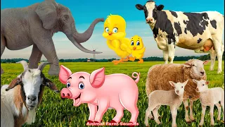 Funny Farm Animals And Their Food: Cats, Horses, Chickens, Elephants, Dogs, Goats - Animal Paradise