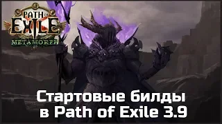 Идеи для стартовых билдов в Path of Exile 3.9