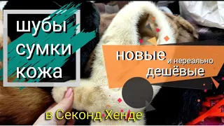 Я В ШОКЕ! МЕХ, КОЖА за КОПЕЙКИ! В Секонд Хенде новая одежда🤷