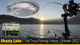 Shasta Lake Trout Fishing Frenzy - Oct 2022