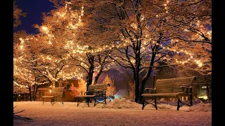 2021 Christmas celebration in Sweden, Stockholm #outdoor #sweden#stockholm#winter #europetravel