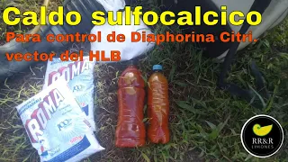 Caldo sulfocalcico para control de diaphorina en cítricos.