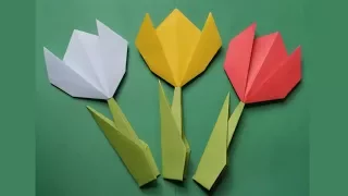 DIY:Easy Paper Tulip !!! How to Make Origami Tulip Flower !!!
