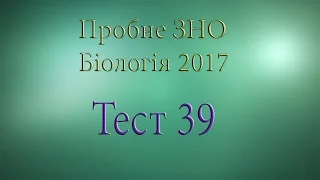 Тест 39