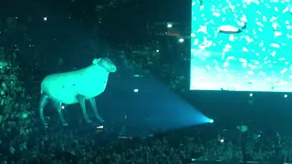 Roger Waters - Sheep (This Is Not A Drill | Farewell Tour)