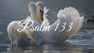 Psalm 133, King James Version (Acapella Singing)