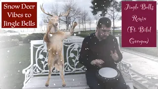 Jingle Bells Remix (Ft. Bilal Göregen) - Cat Vibing New Christmas Video