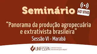 Seminário - Panorama da Produção Agropecuária e Extrativista Brasileira - Sessão VI (Marabá)