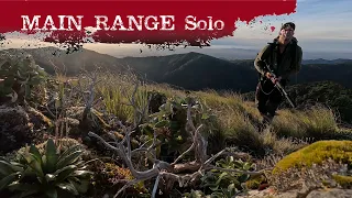 Main Range Solo | Hunting Ruahine Range