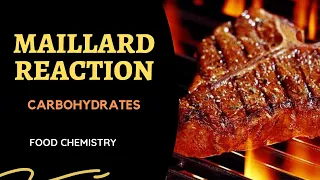 Maillard Reaction l Carbohydrates - Lesson 4