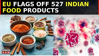 EU Authorities Find Cancer-Causing Carcinogenic Chemical In 527 Indian Food Products | Latest News