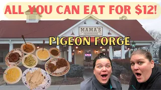 VLOG SERIES: ALL YOU CAN EAT AT MAMA'S FARMHOUSE IN PIGEON FORGE, TN | $12 WINTER SPECIAL!