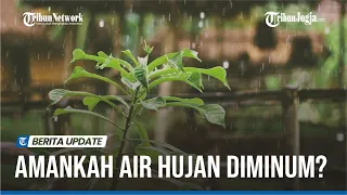 AMANKAH AIR HUJAN DIMINUM  STUDI JELASKAN