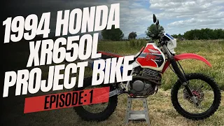 I Bought A 1994 Honda XR650L That Has Not Started In 14 years… Will It Start? | Project Bike | Ep. 1