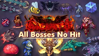 Terraria Calamity Mod || All Bosses No-Hit (Death Mode)