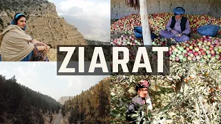 Ziarat: Pakistan on a Plate:Recipes from those who we pay homage E7