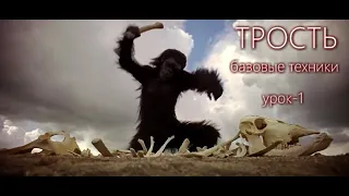 Трость - вводный урок