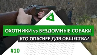 #АЗЖnews: Охотники или бездомные собаки - кто опаснее для общества?