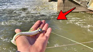 Fishing the OHIO RIVER for GIANT WALLEYE!