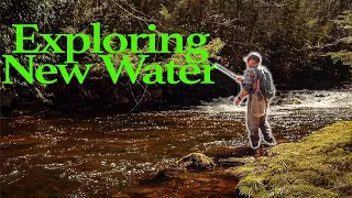 FlyFishing New Water (NORTHEAST PA)  for Wild Trout!