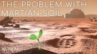 The Real Problem with Growing Plants in Lunar and Martian Soil