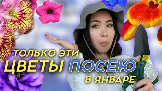 🔥Что ПОСЕЯТЬ В ЯНВАРЕ? 30 цветов и овощей о которых забывают