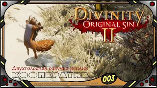 Divinity Original Sin 2 - Кооператив (№03) - Двухголосная озвучка реплик .