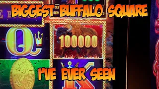 Buffalo Link 8 Bonus Session Plus The Biggest Square I've Ever Seen!