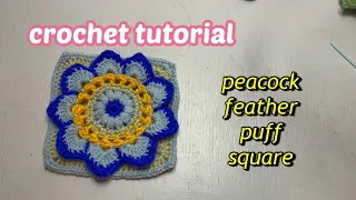 How to crochet peacock feather puff square របៀបចាក់ស្លាបក្ងោក