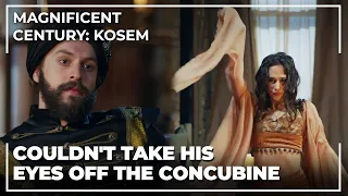 Sultan Murad's Night Of Fun | Magnificent Century: Kosem Special Scenes