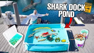 Building A SALTWATER MINI POND At SHARK Dock With EXOTIC FISH! (What's Inside?)