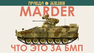 Marder