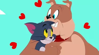 The Tom and Jerry Show - Cruisin for a Bruisin - Funny animals cartoons for kids