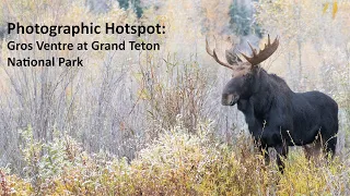 Photographic Hotspot:  Gros Ventre at Grand Teton National Park