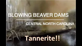 Blowing Beaver Dams | Three Tannerite EXPLOSIONS!! | Waterfowl Management