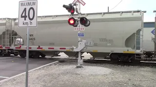 CP/CSX Freight Train at Braid St Crossing