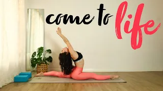 Come To Life 🌱 60 Minute Vinyasa Flow to Hanumanasana Full Splits | Open Your Hips & Hamstrings