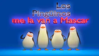 Los Pingüinos me la van a Mascar 😯