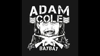 ADAM COLE BULLET CLUB BAY BAY THEME (CLEAN VERSION)