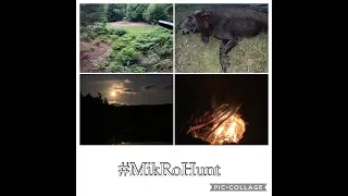 MikRoHunt   Wild boar hunting in Sweden