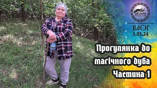 Прогулянка до магічного дуба. Частина 1